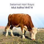 Selamat Hari Raya Idul Adha 1447 H 🌙: Nikmati Hidangan Kurban Tanpa Mengorbankan Kesehatan Jantung